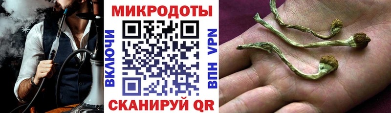Купить  Монино  Галлюциногенные грибы MAGIC MUSHROOMS 